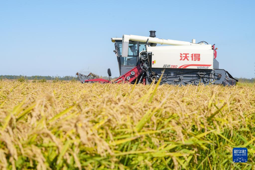 爽8官网注册会员账号
